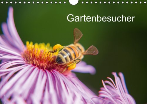 9783660395778: Kleine Gartenbesucher Wandkalender 201