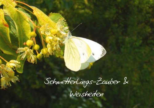 9783660470833: Schmetterlings-Zauber & Weisheiten (Posterbuch DIN A4 quer): Fr wenige Minuten den Alltag vergessen mit faszinierendem Schmetterlings-Zauber und Weisheiten (Posterbuch, 14 Seiten)