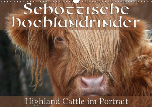 9783660558036: Schottische Hochlandrinder Highland C