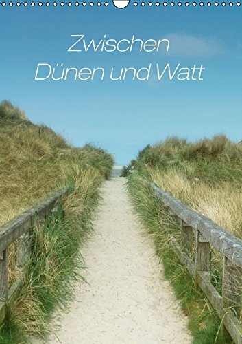 9783660608731: Zwischen D Nen Und Watt Geburtstagsk