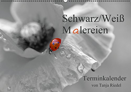 9783660666328: Schwarz Wei Malereien Terminkalender