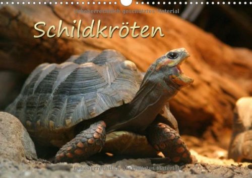 9783660733624: Schildkrten Wandkalender 2015 Din A3