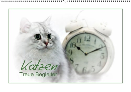 9783660740806: Katzen Treue Begleiter Wandkalende