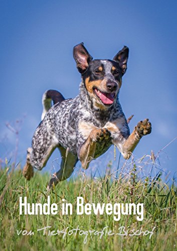 9783660899542: Hunde in Bewegung - Das Posterbuch - von Tierfotografie Bischof (Posterbuch DIN A3 hoch): Hunde in dynamischen Bewegungsaufnahmen, das Posterbuch zum Kalender (Posterbuch, 14 Seiten)