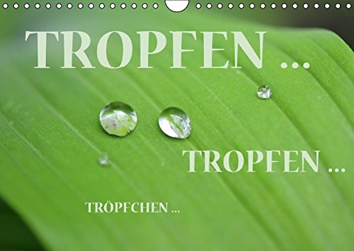 Tropfen ... Tropfen ... Tröpfchen ... (Wandkalender immerwährend DIN A4 quer): Nach dem Regen ... Tropfen, erfrischend und dekorativ (Monatskalender, 14 Seiten) - GUGIGEI