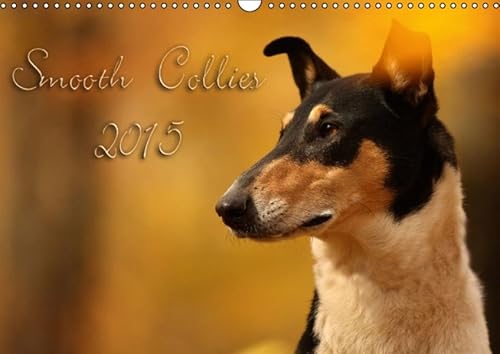 9783660988451: Smooth Collies 2015 Wandkalender 2015