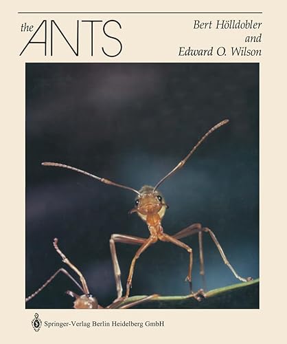 9783662103081: The Ants