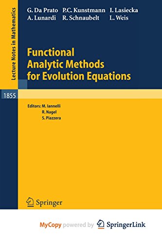 9783662214978: Functional Analytic Methods for Evolution Equations
