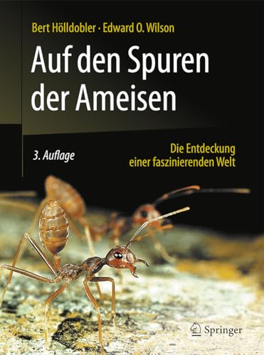Beispielbild fr Auf den Spuren der Ameisen: Die Entdeckung einer faszinierenden Welt zum Verkauf von medimops
