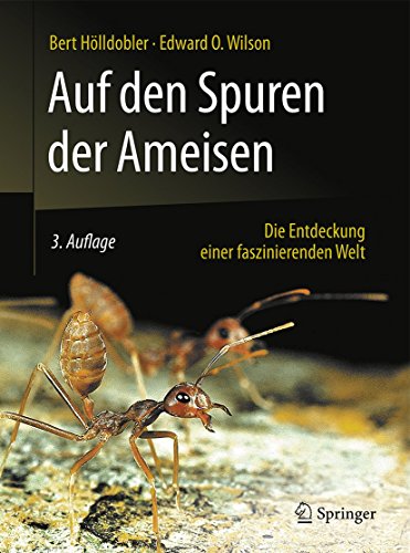 9783662484067: Journey to the Ants: Die Entdeckung Einer Faszinierenden Welt