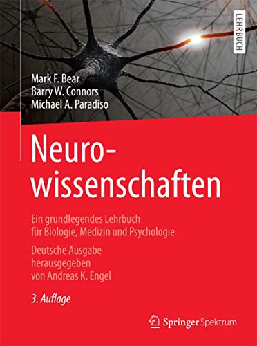 Stock image for Neurowissenschaften: Ein grundlegendes Lehrbuch fr Biologie, Medizin und Psychologie Engel, Andreas K.; Bear, Mark F.; Connors, Barry W.; Paradiso, Michael A.; Seidler, Lothar; Held, Andreas; Hornung, Cathrine; Niehaus-Osterloh, Monika; Maxam, Gudrun and Lange, Christina for sale by BUCHSERVICE / ANTIQUARIAT Lars Lutzer