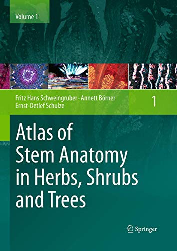 Stock image for Atlas of Stem Anatomy in Herbs; Shrubs and Trees : Volume 1 for sale by Ria Christie Collections