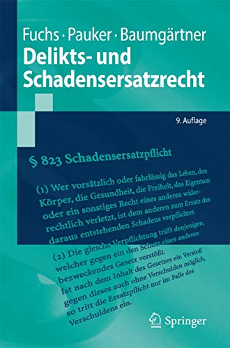 Stock image for Delikts- und Schadensersatzrecht (Springer-Lehrbuch) (German Edition) for sale by Books Unplugged