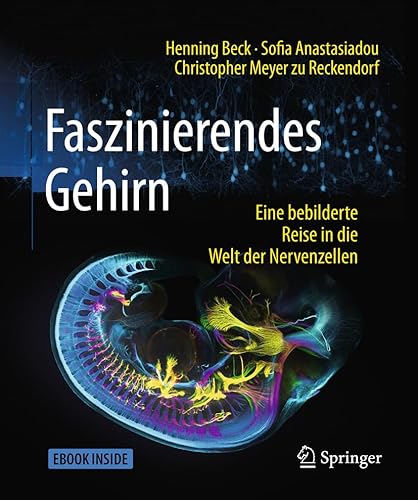 Stock image for Faszinierendes Gehirn for sale by Blackwell's