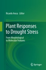 Stock image for Plant Responses To Drought Stress for sale by Mispah books