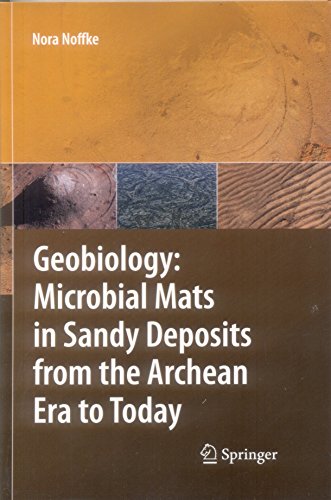 9783662561652: GEOBIOLOGY