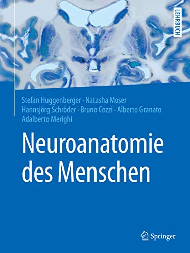 Stock image for Neuroanatomie Des Menschen for sale by Blackwell's