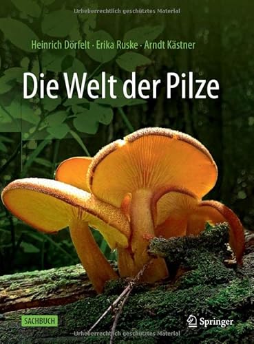 Stock image for Die Welt Der Pilze for sale by Blackwell's