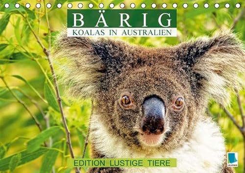 9783664467709: Brig: Koalas in Australien - Edition lustige Tiere (Tischkalender 2016 DIN A5 quer): Koalas: Lebende Teddybren (Monatskalender, 14 Seiten)