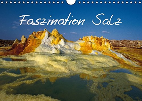 Beispielbild fr Faszination Salz (Wandkalender 2016 DIN A4 quer, 14 Seiten - CALVENDO Natur) zum Verkauf von Leserstrahl  (Preise inkl. MwSt.)