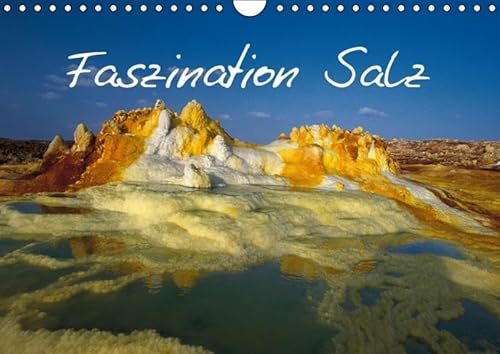 Stock image for Faszination Salz (Wandkalender 2016 DIN A4 quer, 14 Seiten - CALVENDO Natur) for sale by Leserstrahl  (Preise inkl. MwSt.)