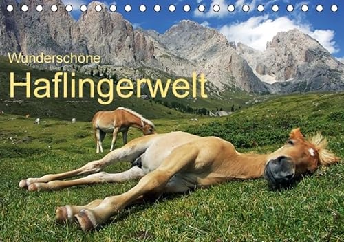 9783664648412: Wunderschne Haflingerwelt (Tischkalender 2016 DIN A5 quer): Haflinger in wunderschner Natur (Monatskalender, 14 Seiten)