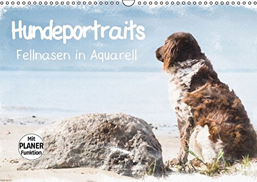 Hundeportraits - Fellnasen in Aquarell (Wandkalender 2016 DIN A3 quer): Hundeportraits in Aquarell von der Künstlerin und Fotografin Sonja Teßen ... (Geburtstagskalender, 14 Seiten) - Sonja Teßen