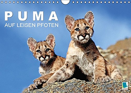 9783664819836: Puma: Auf leisen Pfoten (Wandkalender 2017 DIN A4 quer): Pumas: Geschmeidige Raubkatzen (Monatskalender, 14 Seiten )