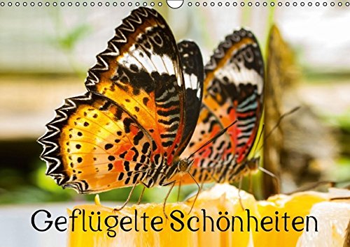 9783664826339: Geflgelte Schnheiten (Wandkalender 2017 DIN A3 quer): Tropische Schmetterlinge (Monatskalender, 14 Seiten )