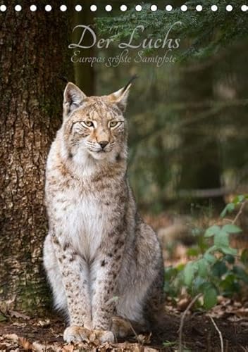 9783664834976: Der Luchs - Europas grte Samtpfote (Tischkalender 2017 DIN A5 hoch): Fotografien vom eurasischen Luchs (Monatskalender, 14 Seiten )