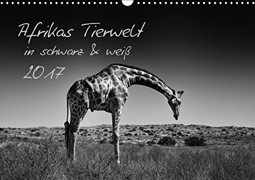 Afrikas Tierwelt in schwarz & weiß (Wandkalender 2017 DIN A3 quer): Säugetiere und Vögel aus Afrika in Schwarz und Weiß (Monatskalender, 14 Seiten ) - Kirsten und Holger Karius
