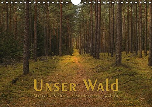 9783665034726: Unser Wald - Magische Sichten in norddeutsche Wlder (Wandkalender 2017 DIN A4 quer): Malerische Blicke in unseren Wald (Monatskalender, 14 Seiten )