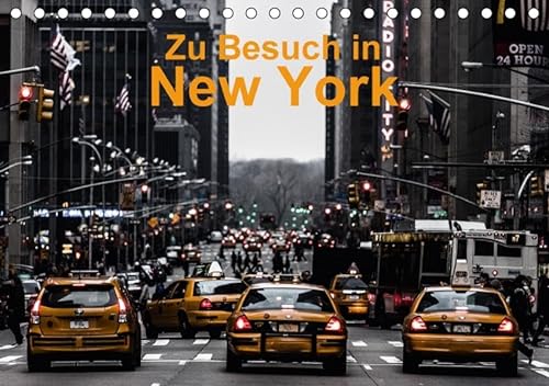 9783665129934: Zu Besuch in New York (Tischkalender 2017 DIN A5 quer): Impressionen aus der Weltstadt New York (Monatskalender, 14 Seiten )