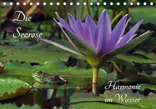 9783665191764: Die Seerose - Harmonie im Wasser (Tischkalender 2017 DIN A5 quer): Der Seelentrster (Geburtstagskalender, 14 Seiten )