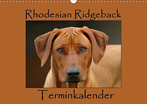 9783665259198: Rhodesian Ridgeback Terminkalender (Wandkalender 2017 DIN A3 quer): Monatlicher Terminplaner mit wunderschnen Rhodesian Ridgeback Fotografien. (Geburtstagskalender, 14 Seiten )