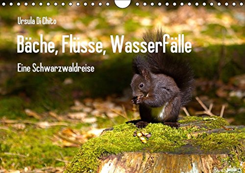 9783665260750: Bche, Flsse, Wasserflle - Eine Schwarzwaldreise (Wandkalender 2017 DIN A4 quer): Eine Reise zu den schnsten Gewssern im Schwarzwald (Monatskalender, 14 Seiten )