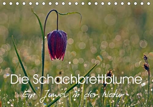 9783665277123: Die Schachbrettblume (Tischkalender 2017 DIN A5 quer): So zart und selten, begeistert uns Naturfreunde diese Schachbrettblume (Monatskalender, 14 Seiten )