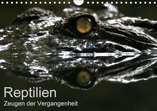 9783665296001: Reptilien - Zeugen der Vergangenheit (Wandkalender 2017 DIN A4 quer): Farbenprchtige Reptilien - fotografiert von Michael Herzog (Monatskalender, 14 Seiten )