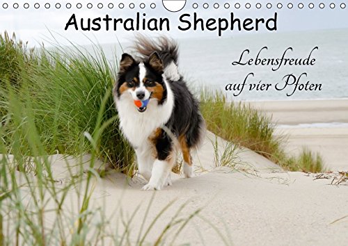 9783665363703: Australian Shepherd - Lebensfreude auf vier Pfoten (Wandkalender 2017 DIN A4 quer): Die Abenteuer eines powervollen Australian Shepherd (Monatskalender, 14 Seiten )