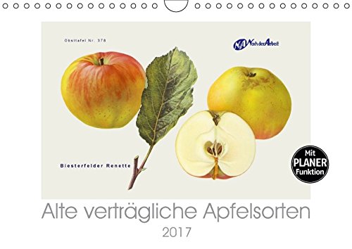9783665365134: Alte vertrgliche Apfelsorten (Wandkalender 2017 DIN A4 quer): Alte Apfelsorten, die auch von Allergikern oft gut vertragen werden. (Geburtstagskalender, 14 Seiten )