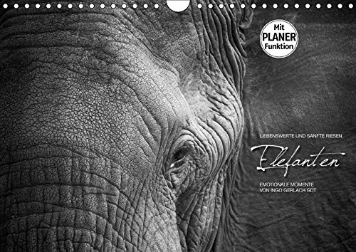 9783665380724: Emotionale Momente: Elefanten in black and white (Wandkalender 2017 DIN A4 quer): Liebenswerte und sanfte Riesen (Geburtstagskalender, 14 Seiten )