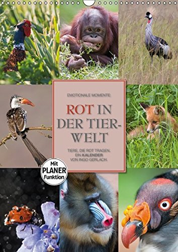 Emotionale Momente: Rot in der Tierwelt (Wandkalender 2017 DIN A3 hoch): Tiere die Rot tragen. Ein Planer von Ingo Gerlach. (Planer, 14 Seiten ) - Ingo Gerlach GDT