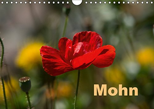 9783665785826: Mohn (Wandkalender 2018 DIN A4 quer): Mohnblte, die flchtige Gartenschnheit. (Monatskalender, 14 Seiten )