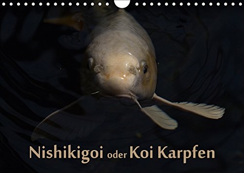 9783665786953: Nishikigoi oder Koi Karpfen (Wandkalender 2018 DIN A4 quer): Nishikigoi oder einfacher "Koi". Ein Fisch in seinem Lebensraum. (Monatskalender, 14 Seiten )