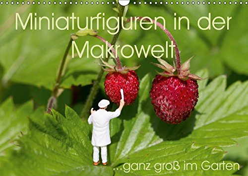 Miniaturfiguren in der Makrowelt ...ganz groß im Garten (Wandkalender 2018 DIN A3 quer): CityZwerge kommen ganz groß raus... im Garten! (Monatskalender, 14 Seiten ) - Stephi Abels