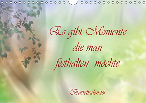 Stock image for Es gibt Momente die man festhalten mchte (Wandkalender 2019 DIN A4 quer): Bastelkalender zu Selbstgestaltung, fr Ihre besonderen Erinnerungen (Monatskalender, 14 Seiten ) for sale by Revaluation Books