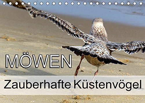 Möwen - Zauberhafte Küstenvögel (Tischkalender 2019 DIN A5 quer): Faszinierende Möwen an der Ostsee (Monatskalender, 14 Seiten ) - Y. l e s . P h o t o . A r t