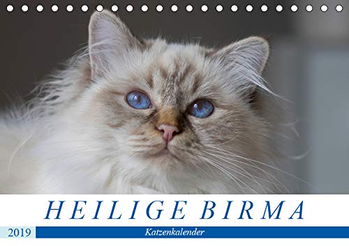 9783670285229: Heilige Birma Katzen (Tischkalender 2019 DIN A5 quer): Blaue Augen, weie Pfoten: Der Birmakatzen-Kalender (Monatskalender, 14 Seiten )