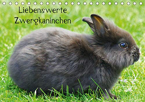 Liebenswerte Zwergkaninchen (Tischkalender 2021 DIN A5 quer) : Beliebte Heimtiere (Monatskalender, 14 Seiten ) - K. A. Kattobello
