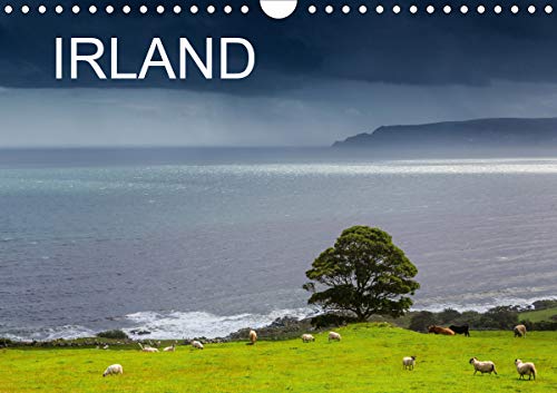 IRLAND - Insel der glücklichen Schafe (Wandkalender 2021 DIN A4 quer) : Echt irisch, echt Scha(r)f! (Monatskalender, 14 Seiten ) - Ferry Böhme
